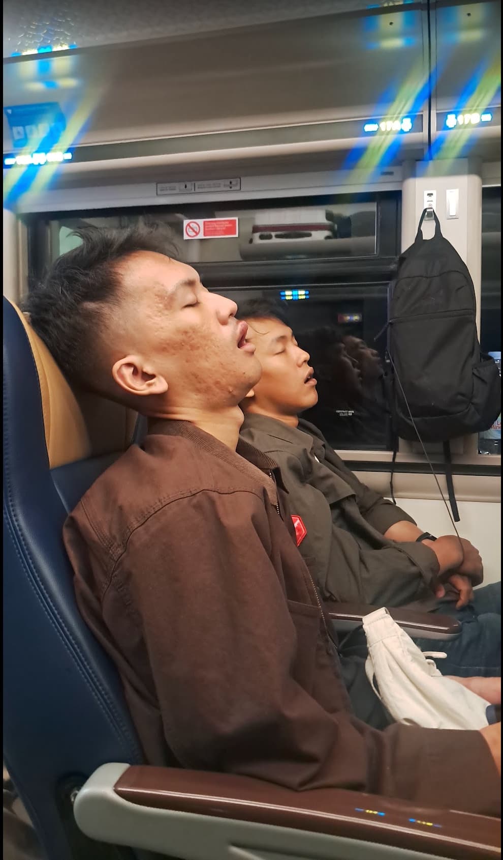 Dino ketiduran di kereta